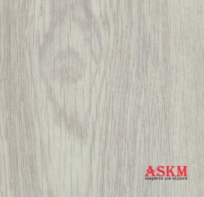 Forbo Allura Dryback Wood 60286DR7/60286DR5 white giant oak white giant oak