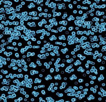 Forbo Flotex від Sottsass 990105 Bacteria 990105 Bacteria