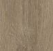 Forbo Allura Dryback 0.7 Wood 60288DR7 light giant oak light giant oak