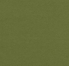 Forbo Flotex Borders 211087/232087 moss Moss