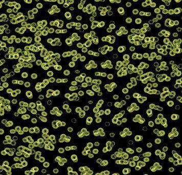 Forbo Flotex від Sottsass 990103 Bacteria 990103 Bacteria