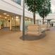 Polyflor Forest fx PUR Classic Oak 3100