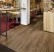 Forbo Allura Dryback 0.4 Wood 60302DR4 deep country oak