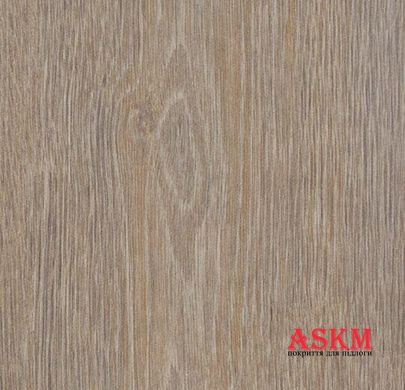 Forbo Allura Dryback Wood 60293DR7/60293DR5 steamed oak steamed oak