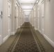 Forbo Flotex hospitality & leisure Geometric / Graphic 250201 Marquis Border Cumin