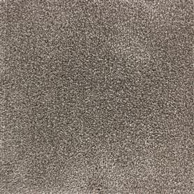 Edel Carpets Bellezza 149 Platinum 149 Platinum