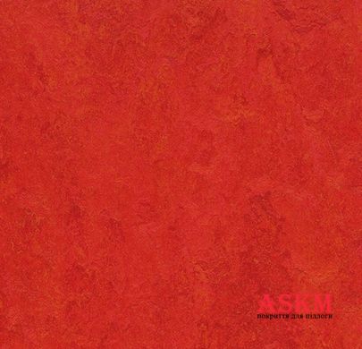 Forbo Marmoleum Modular t3131 scarlet scarlet