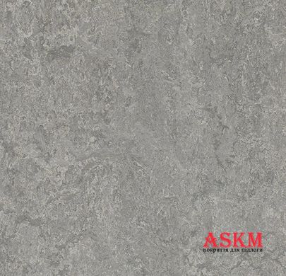 Forbo Marmoleum Decibel 314635 serene grey serene grey