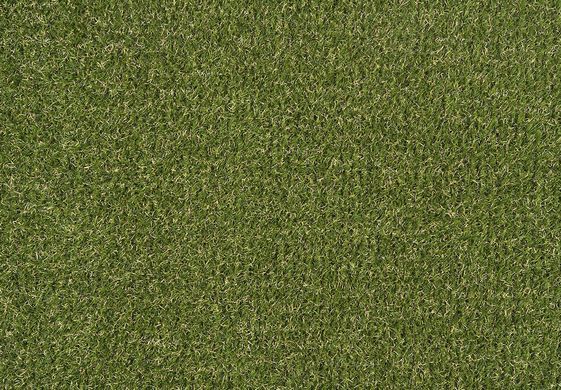 Star Lawn Musa