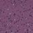 Forbo Sphera EC 450034 amethyst amethyst