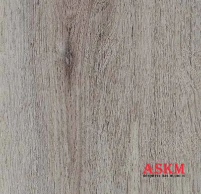 Forbo Allura Decibel 0.35 Wood 5101AD3 winter harvest oak (100x16.6 cm) winter harvest oak