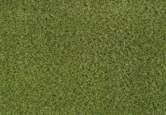 Star Lawn Talia