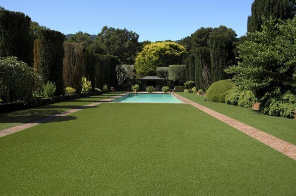 Star Lawn Talia