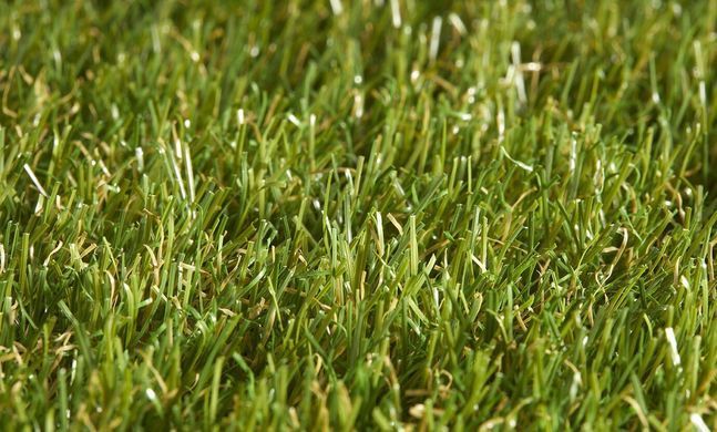Star Lawn Talia