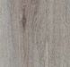 Forbo Allura Decibel 0.35 Wood 5101AD3 winter harvest oak (100x16.6 cm) winter harvest oak